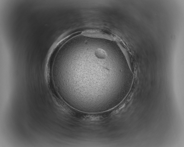 X0000116310343200912071313