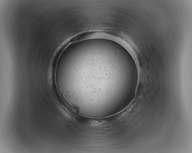 X0000116310346200912071313