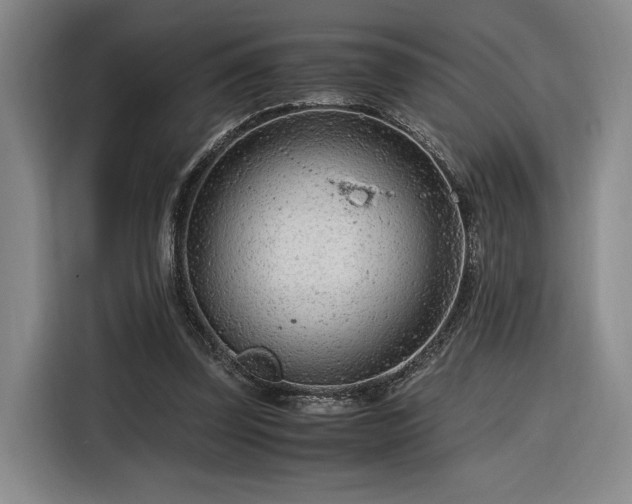 X0000116310347200912071313