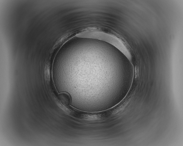 X0000116310349200912071313