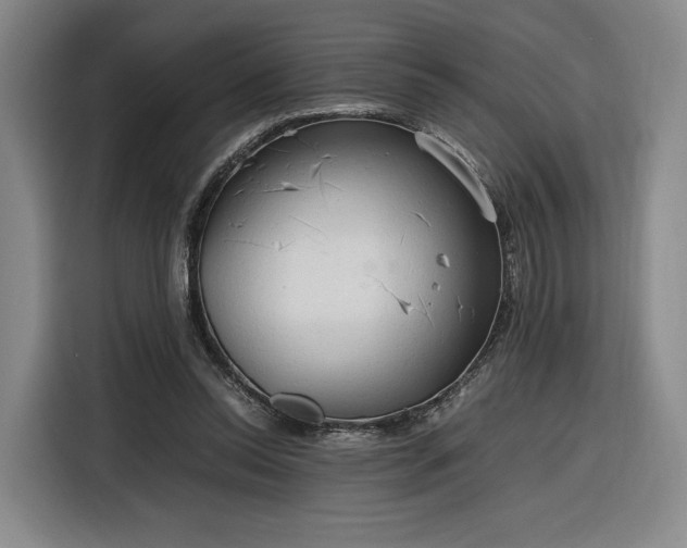 X0000116310350200912071313