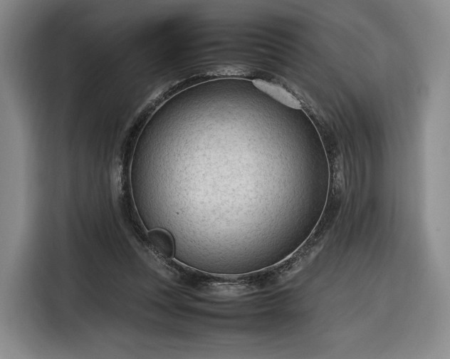 X0000116310351200912071313