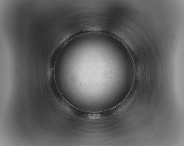 X0000116310355200912071313