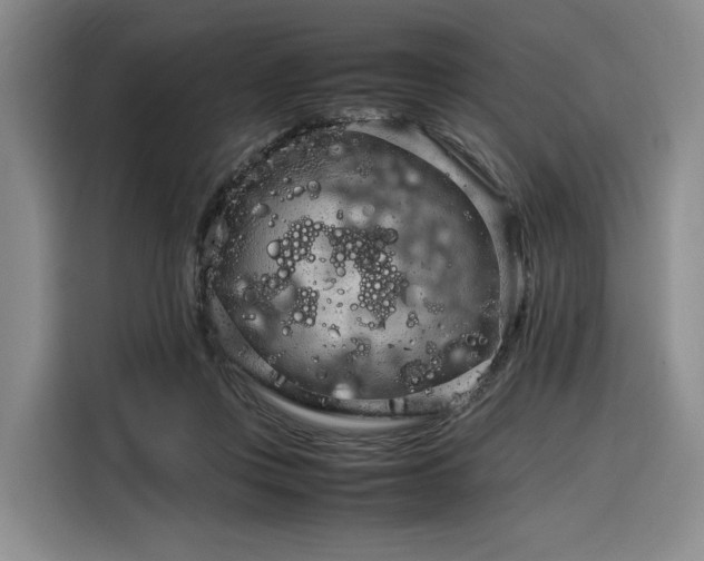 X0000116310359200912071313