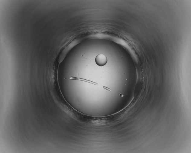 X0000116310362200912071313