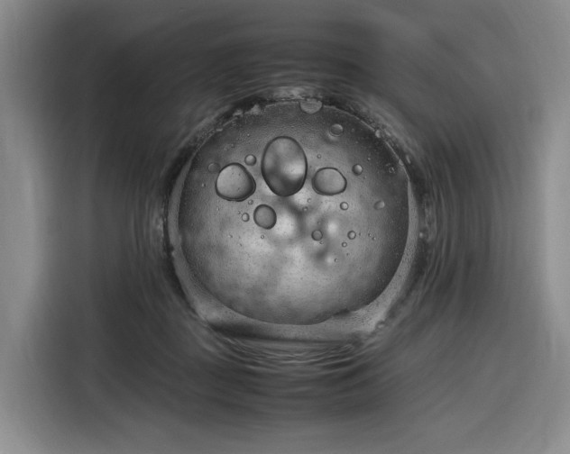 X0000116310363200912071313