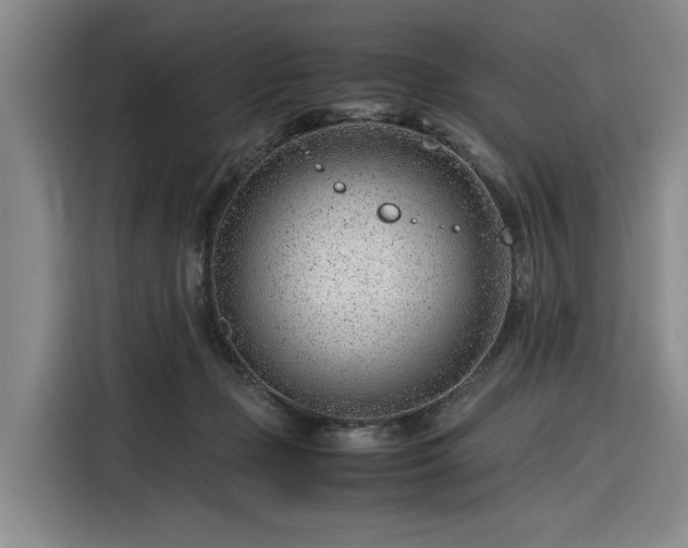 X0000116310365200912071313