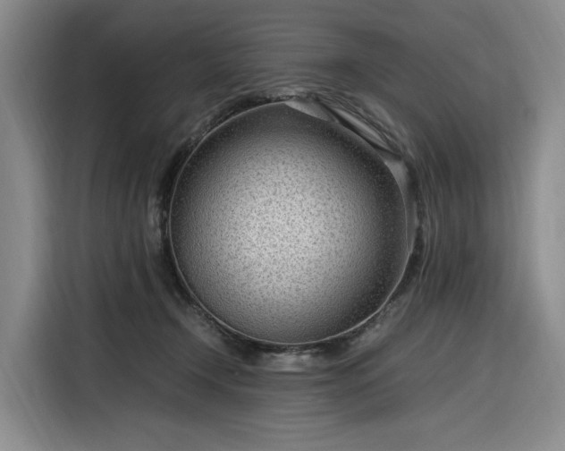 X0000116310366200912071313