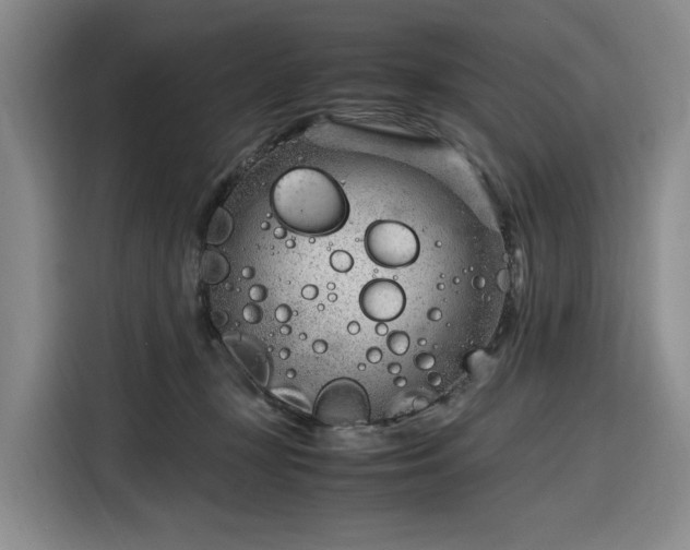 X0000116310367200912071313