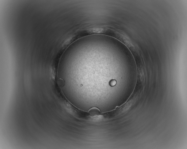 X0000116310374200912071313