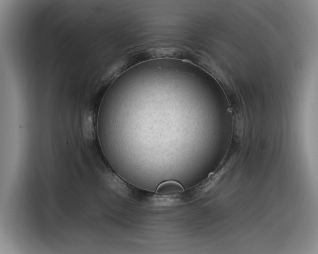 X0000116310378200912071313