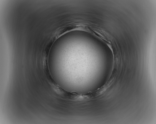 X0000116310379200912071313