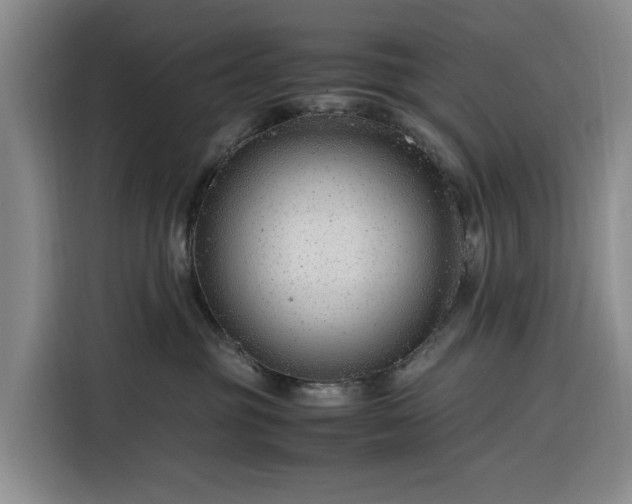 X0000116310381200912071313