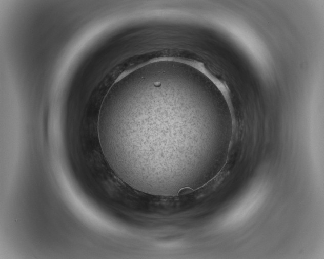 X0000116310383200912071313