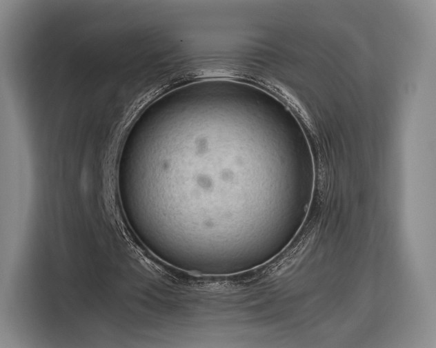 X0000116310385200912071313