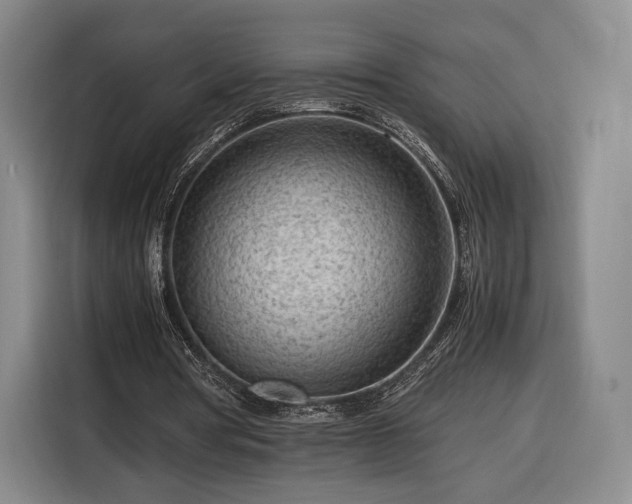 X0000116310386200912071313