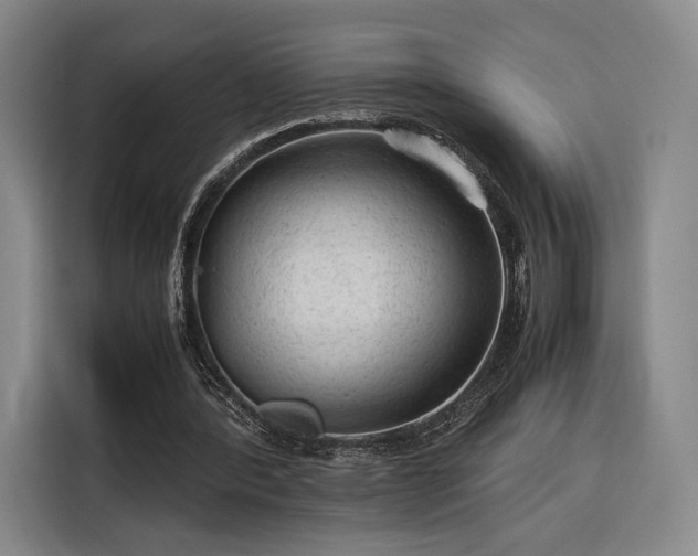 X0000116310388200912071313