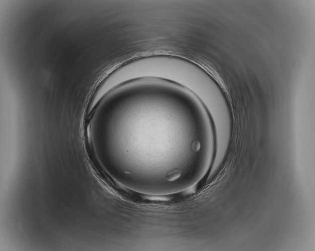 X0000116310389200912071313