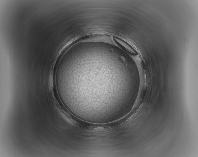 X0000116310390200912071313