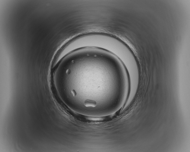 X0000116310391200912071313