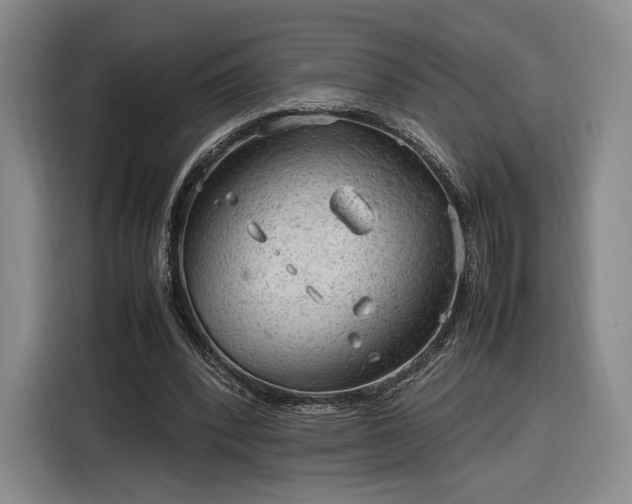 X0000116310392200912071313