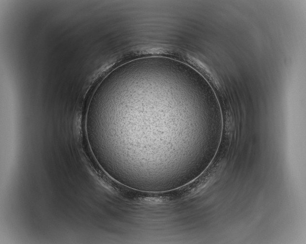 X0000116310394200912071313