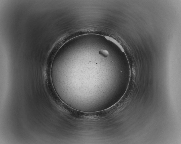 X0000116310396200912071313