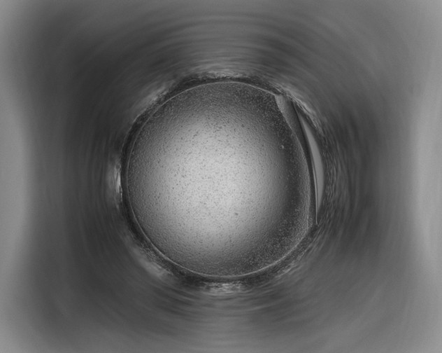 X0000116310398200912071313