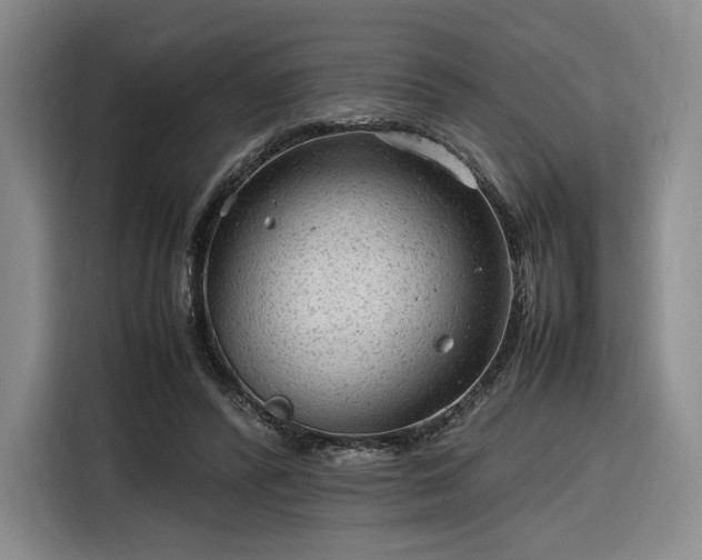 X0000116310400200912071312