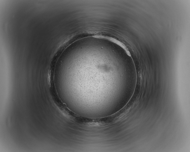 X0000116310404200912071312