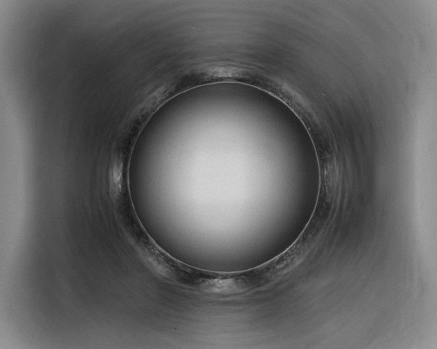 X0000116310406200912071312