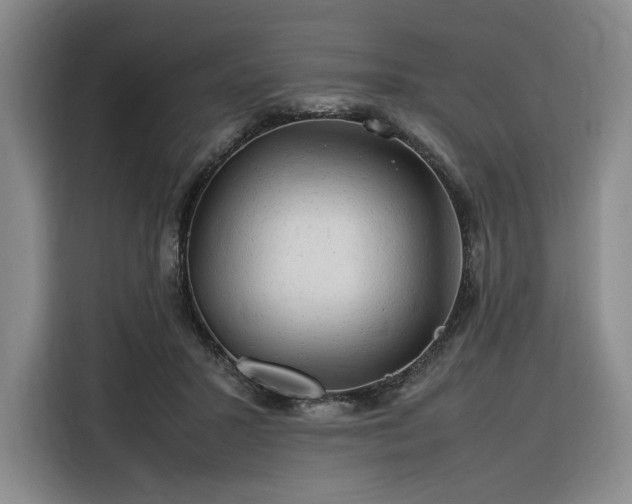 X0000116310407200912071312