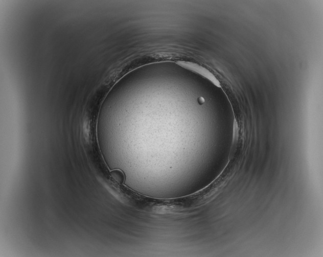 X0000116310408200912071312