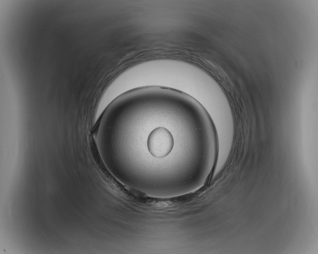 X0000116310409200912071312