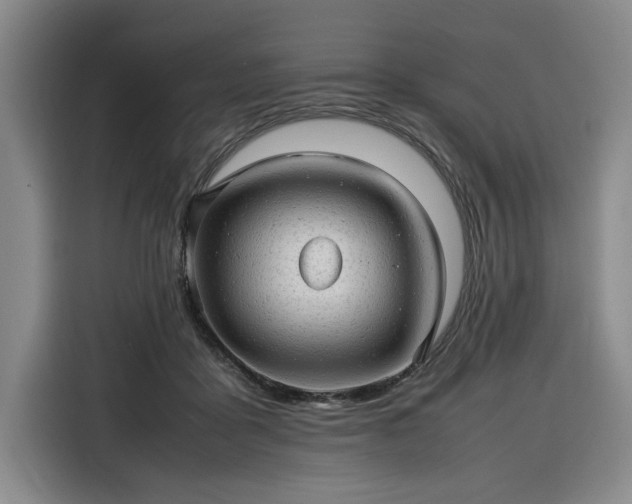 X0000116310411200912071312