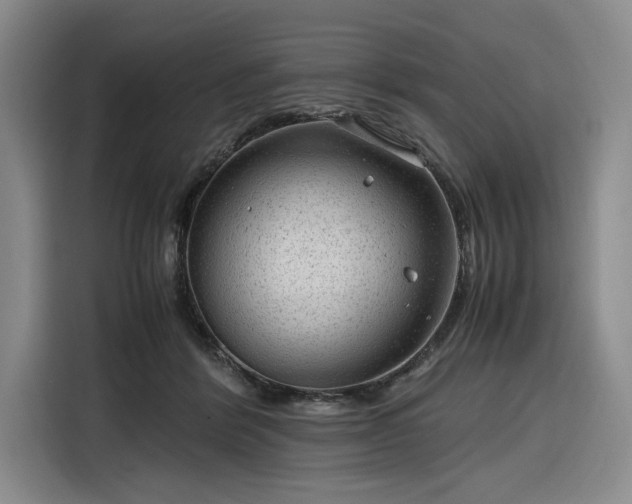 X0000116310412200912071312