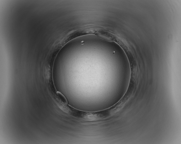 X0000116310413200912071312