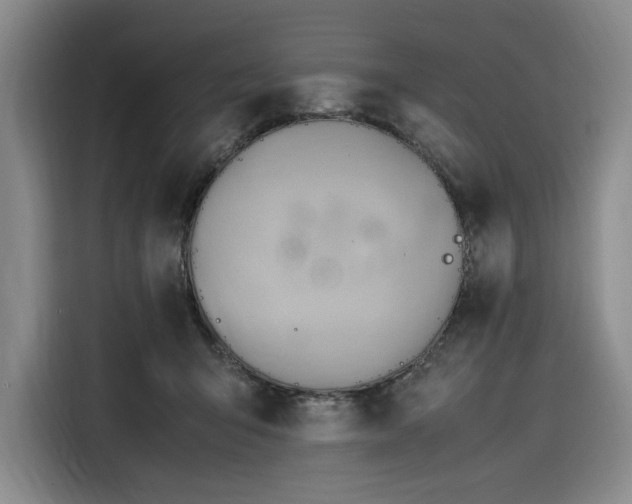 X0000116310415200912071312