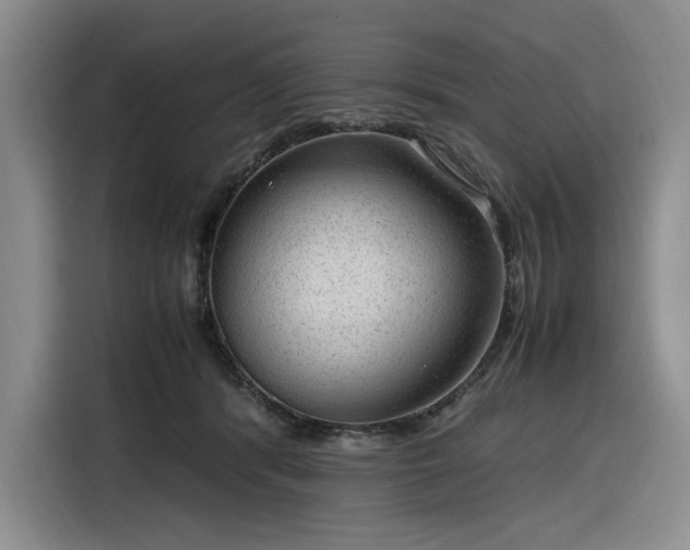 X0000116310416200912071312