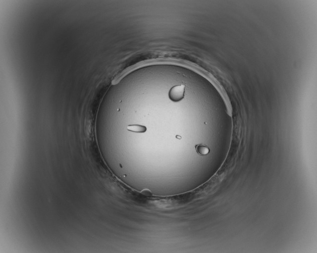 X0000116310417200912071312