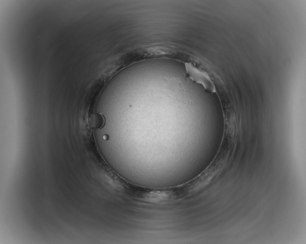 X0000116310418200912071312