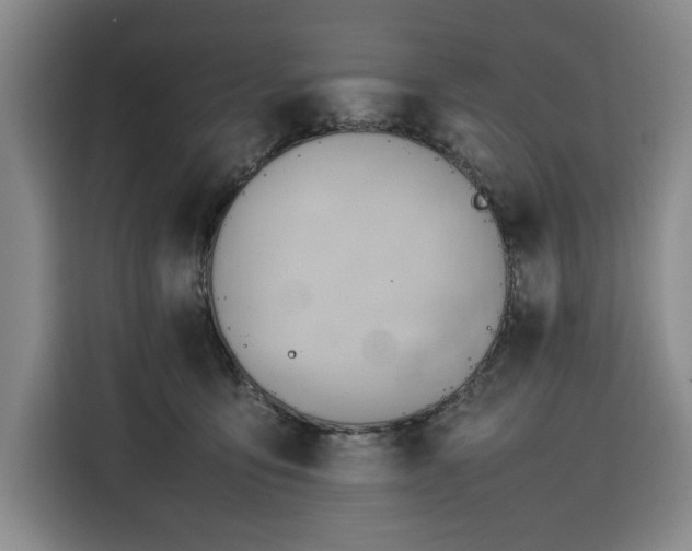 X0000116310419200912071312