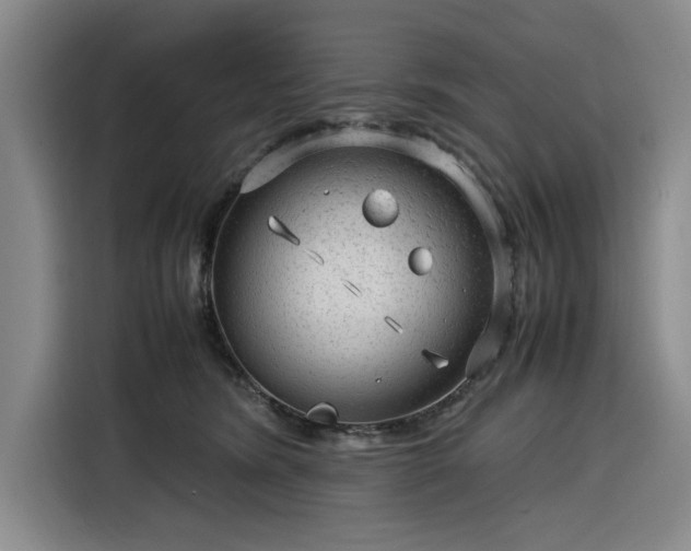 X0000116310420200912071312