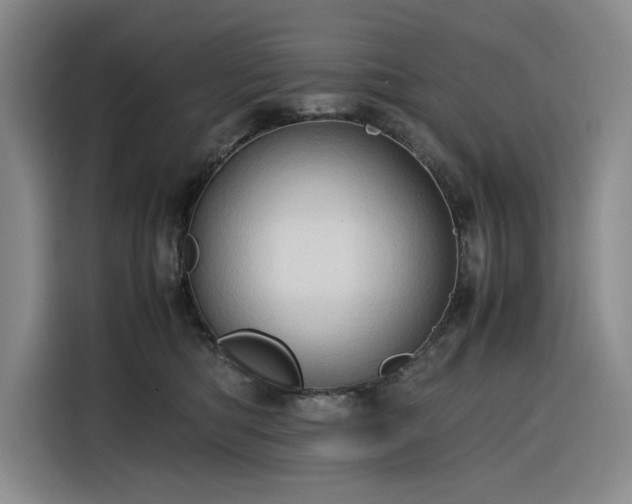 X0000116310422200912071312