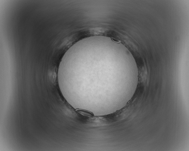 X0000116310427200912071312