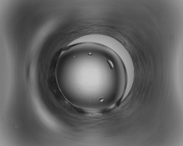 X0000116310429200912071312