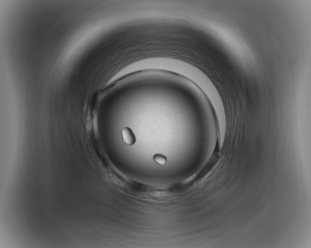 X0000116310431200912071312