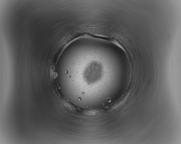 X0000116310432200912071312