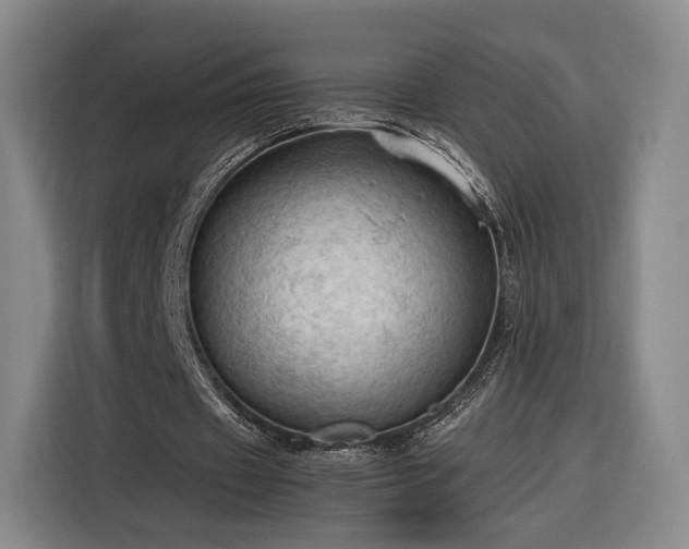 X0000116310433200912071311