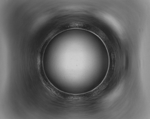 X0000116310435200912071311